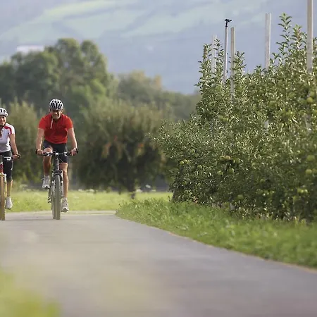 ホテル Schoenbrunn 3*