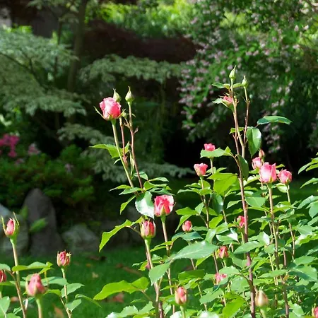 ホテル Schoenbrunn 3*