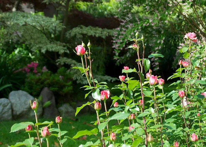 Szálloda Schoenbrunn 3*