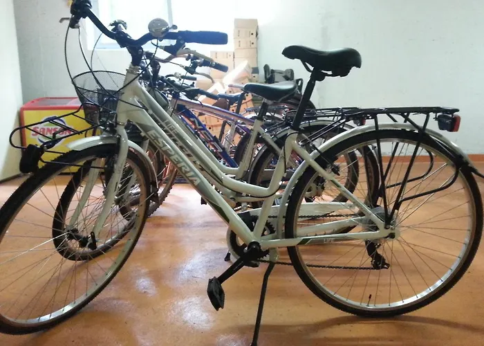 Hotell Schönbrunn 3*